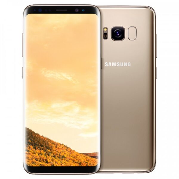 Samsung Galaxy S8+